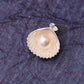 Natural Pearl and 925 Silver Shell Pendant