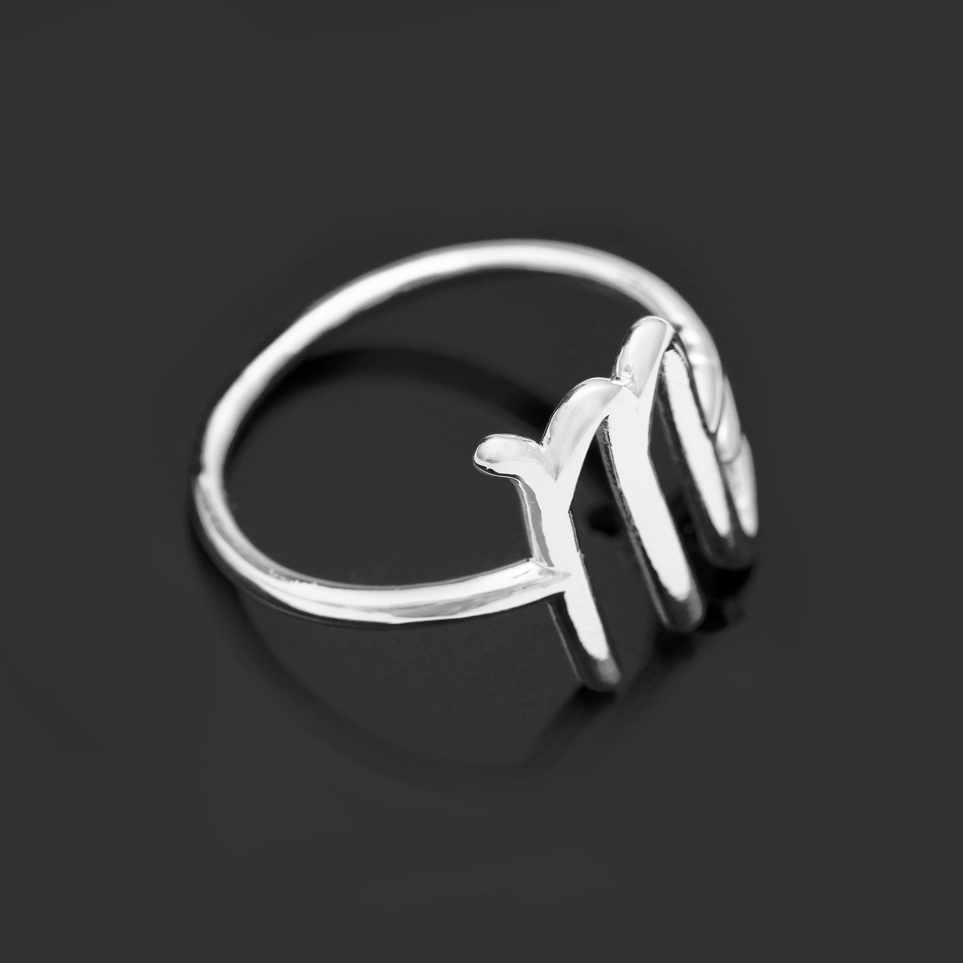 Astrological Symbol SCORPIO Silver Ring, Healing Birthday Gift For Sister GemsRush