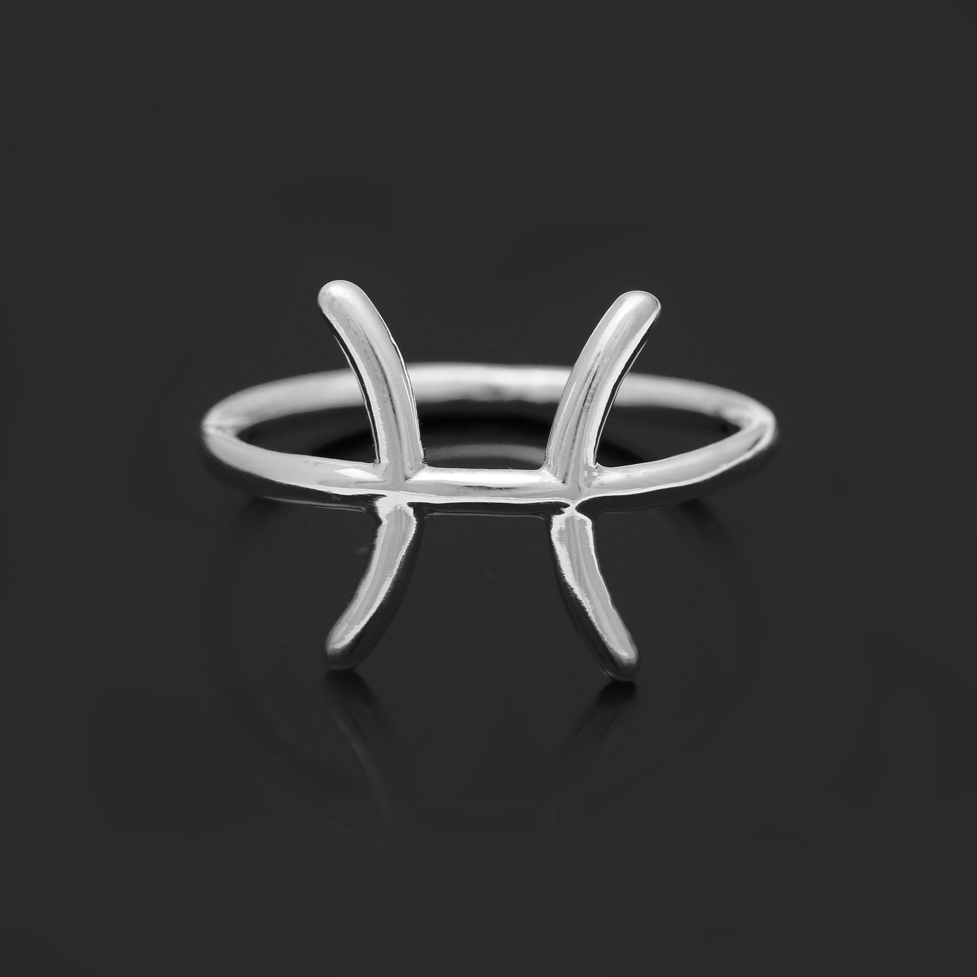 Astrology Zodiac Symbol Ring, PISCES Silver Ring, Gift For Bestfriend GemsRush